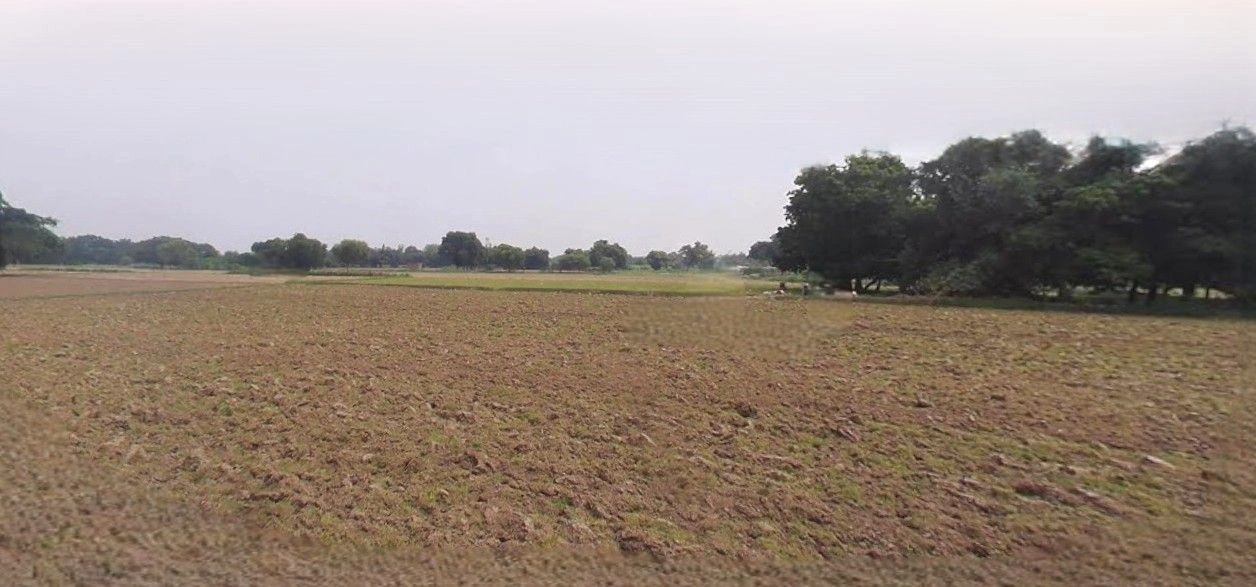 Asoha, Uttar Pradesh 209859, India