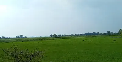 Sarusajai, Guwahati, Assam, India preview 2