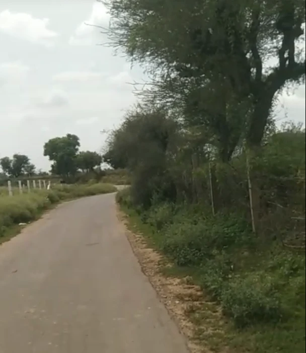 Jurathra, Sikar, Rajasthan 332402, India