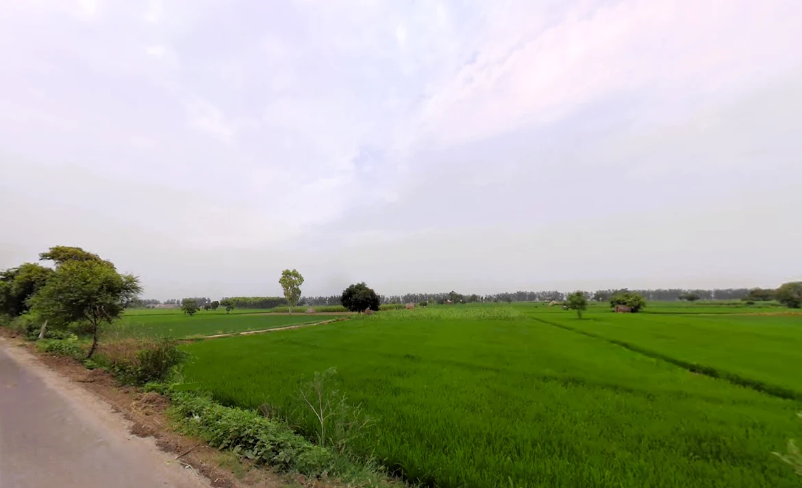Rajound, Haryana 136044, India