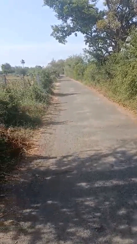 MMX5+C5 Rata Khurd, Khairthal-Tijara, Rajasthan, India