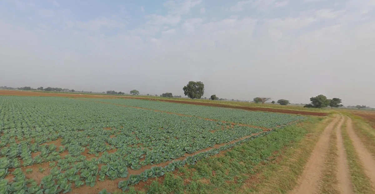 Viramgam, Gujarat 382150, India