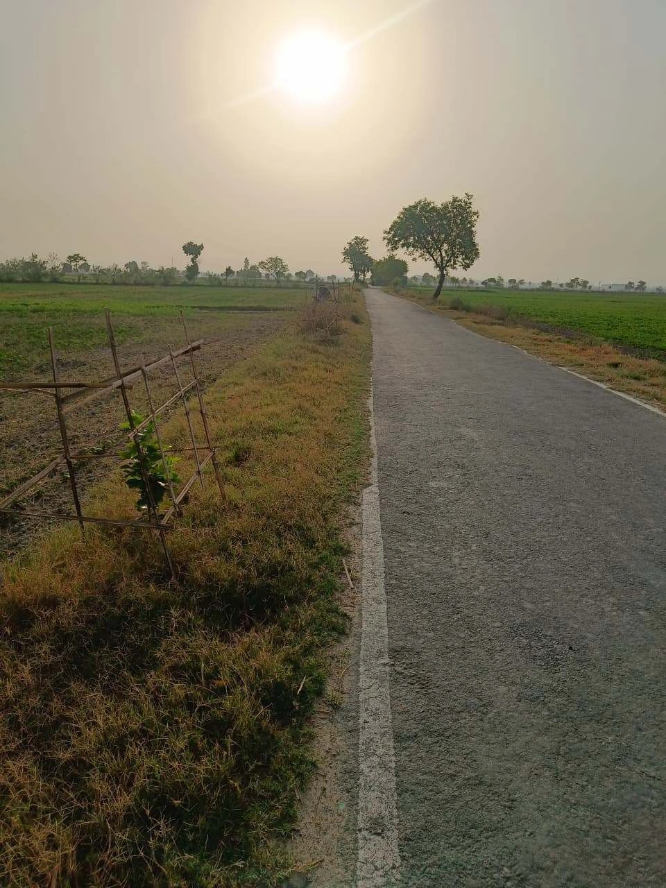 Tentigaon, Uttar Pradesh, India