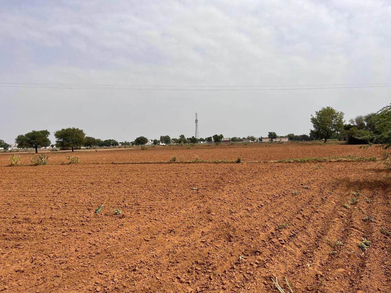 Chaudhari Wali, Haryana 125004, India