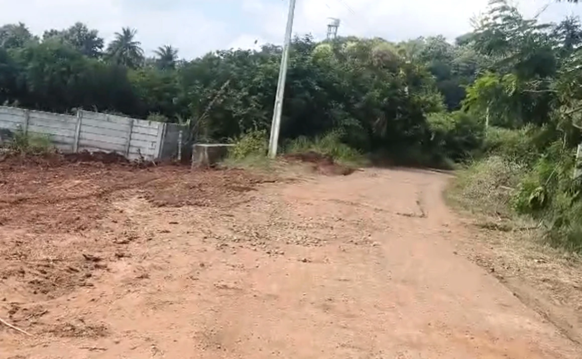 G229+WV9, Sangareddy, Chimaldari Konapur, Telangana, India