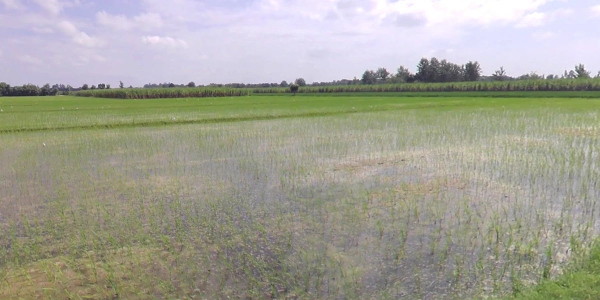 Indore, Madhya Pradesh, India