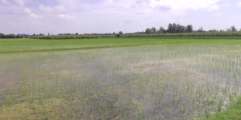 Indore, Madhya Pradesh, India preview 2