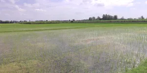 Indore, Madhya Pradesh, India preview 2