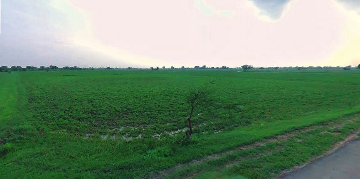 Charkhi Dadri, Haryana 127306, India