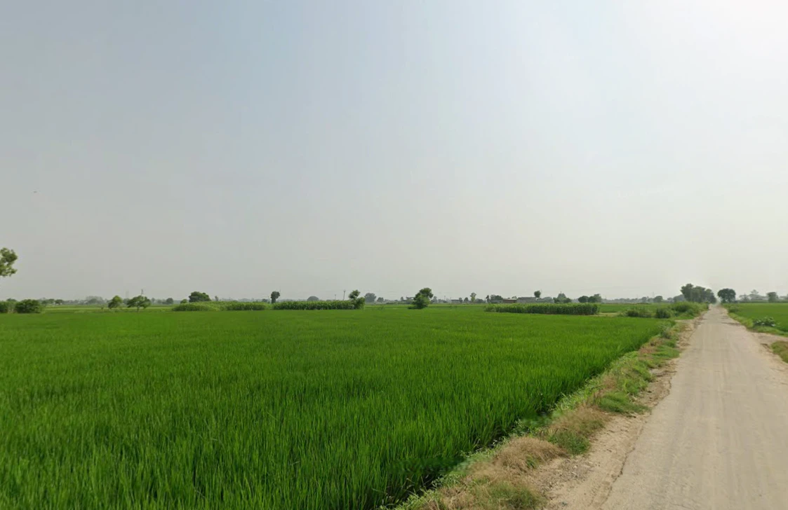 Kathu Nangal, Punjab 143502, India