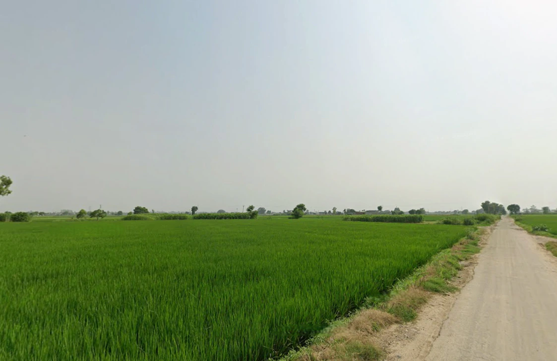 Kathu Nangal, Punjab 143502, India