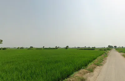 Kathu Nangal, Punjab 143502, India preview 2