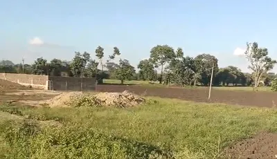Tigariya, Raisen, Madhya Pradesh 464993, India preview 2