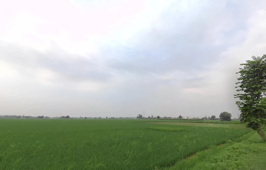 FH67+7QR, Bhadak, Punjab 140402, India