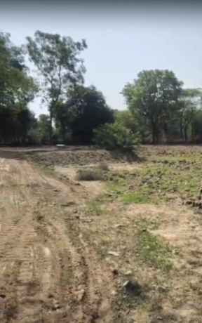 493, Sector 31, Gurugram, Haryana 122001, India