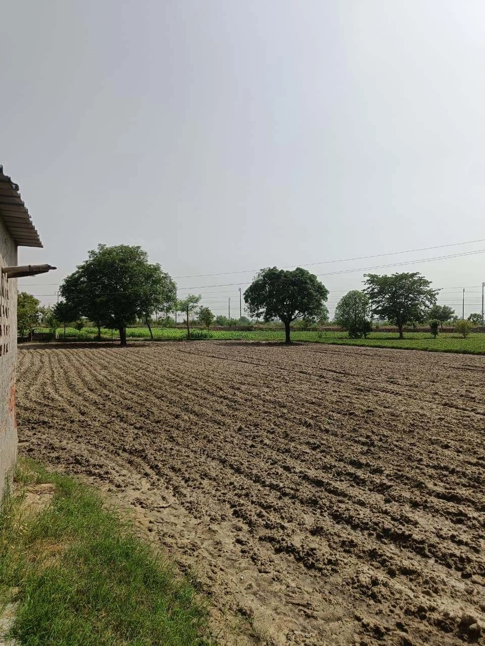 C27Q+83W, Umaran, Uttar Pradesh 229404, India
