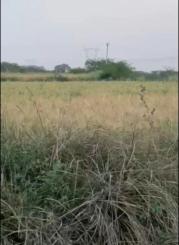 Sahona, Madhya Pradesh 475115, India