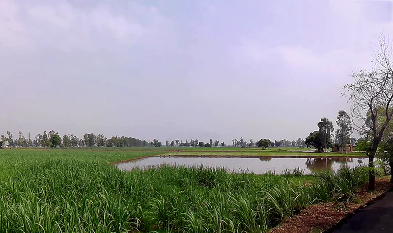 Lukhi, Haryana 136119, India preview 2