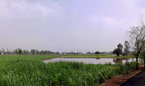 Lukhi, Haryana 136119, India preview 2