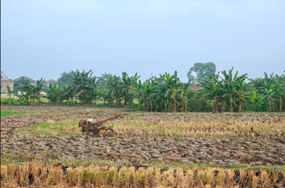 Gota, Chhattisgarh, India preview 2
