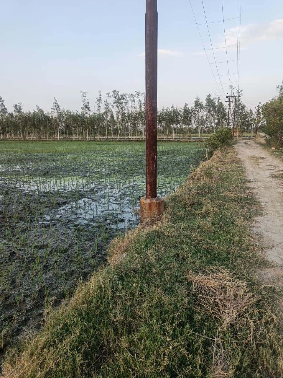 Sankhi, Uttar Pradesh 281401, India