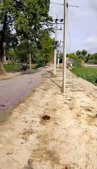 RFGF+JM7, Miyanganj, Kanigaon, Uttar Pradesh 209870, India