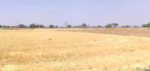 Baroda, Madhya Pradesh 476339, India preview 2