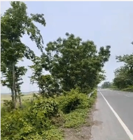 7CVP+5C9, Bhopal, Madhya Pradesh, India