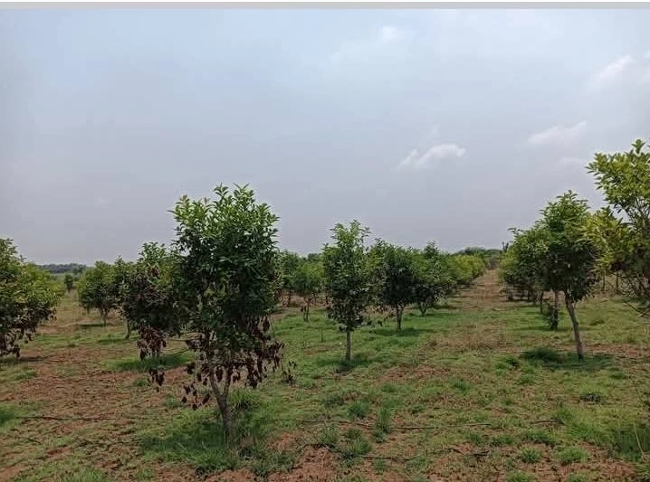 Sira, Karnataka 572137, India