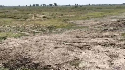 V8PM+WMR, Tudiyana, Dausa, Rajasthan 303303, India preview 2