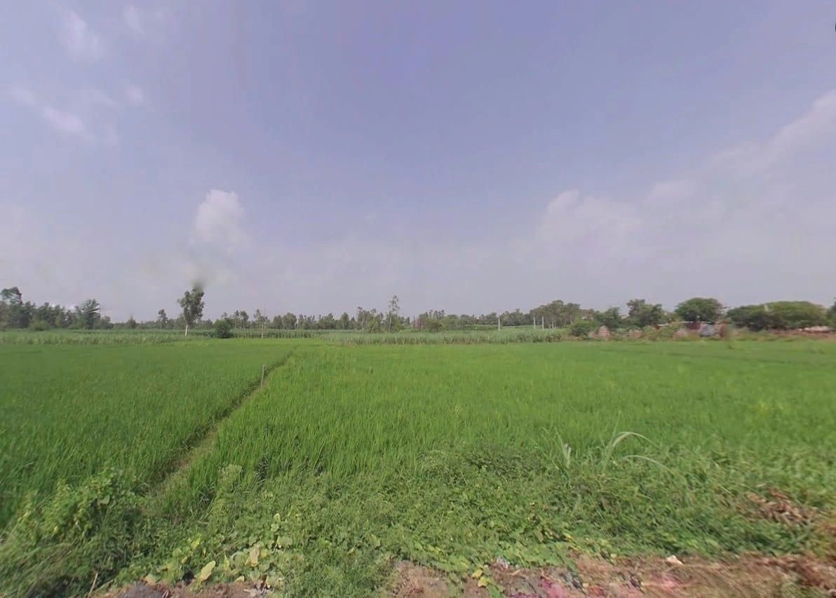 5JFC+MRQ, Jhitkari, Uttar Pradesh 250342, India