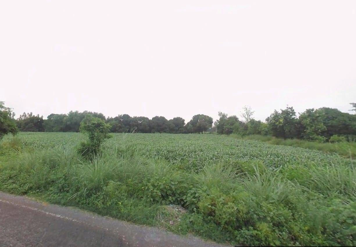 457W+GVM, Pandrawal, Uttar Pradesh 203397, India