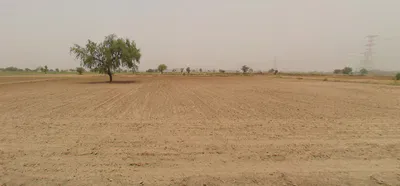 Thuiyan, Haryana 125053, India preview 2