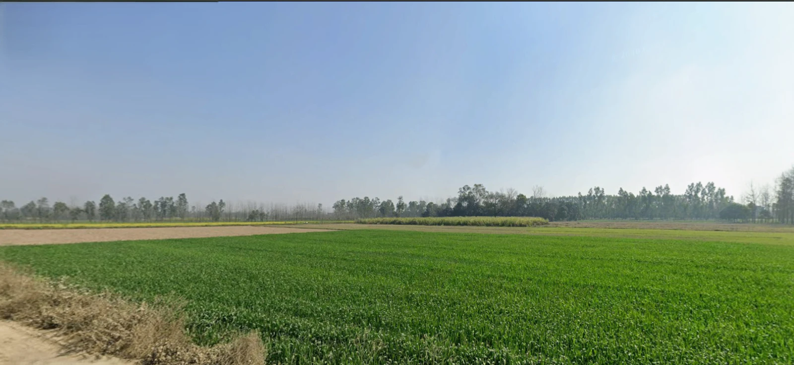 Dharmawala, Herbertpur, Uttarakhand 248142, India