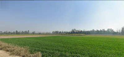 Dharmawala, Herbertpur, Uttarakhand 248142, India preview 3