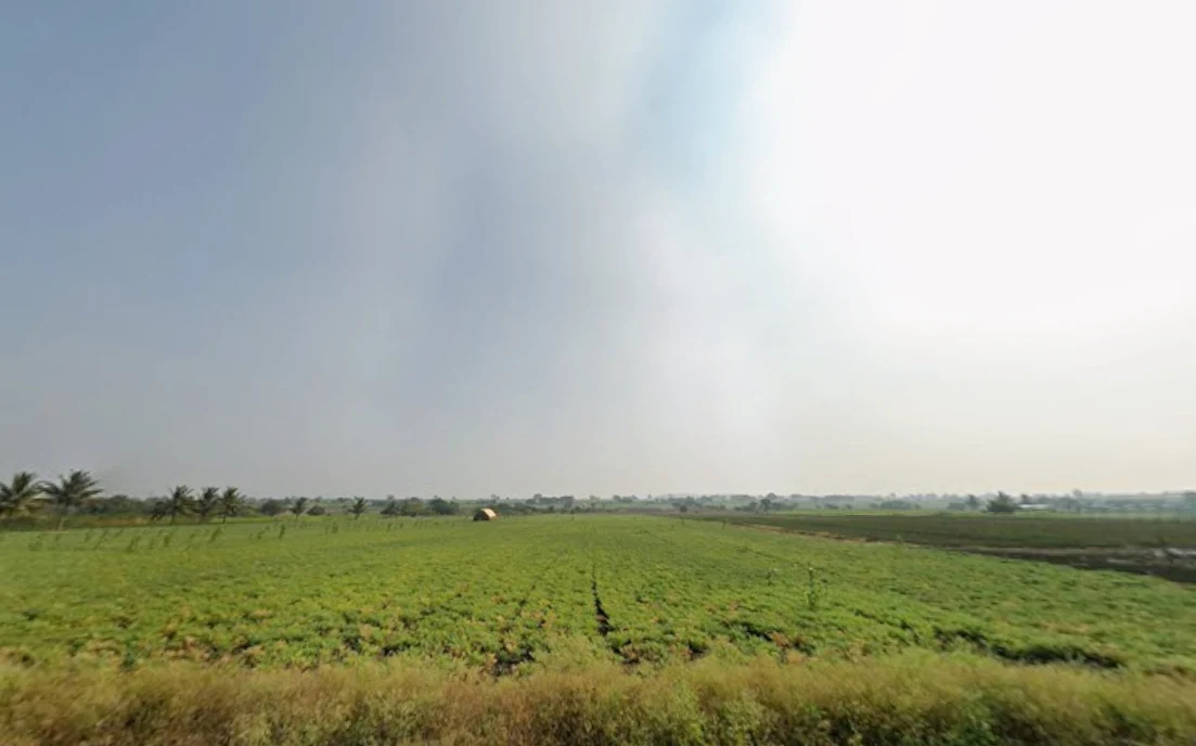 Dharwad, Karnataka, India