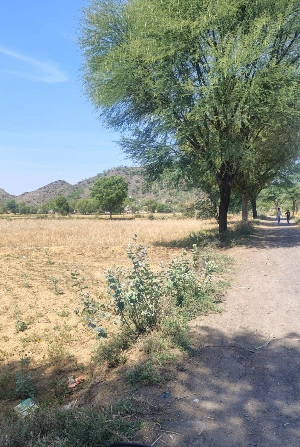 CQ2F+23 Bader, Alwar, Rajasthan, India preview 2