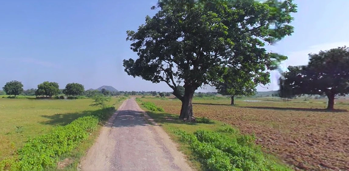 Prayagraj, Uttar Pradesh, India