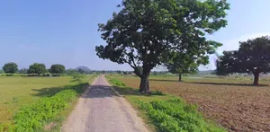 Prayagraj, Uttar Pradesh, India preview 2