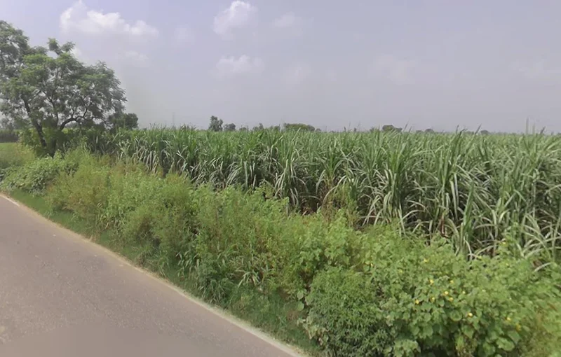 Baraut, Uttar Pradesh 250611, India preview 3