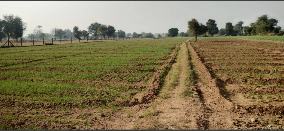 Kalwar, Madhya Pradesh 455332, India