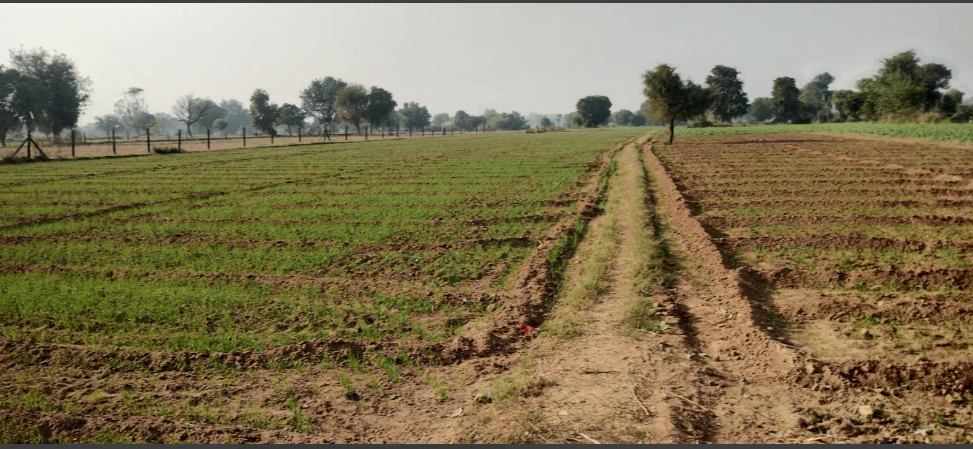 Kalwar, Madhya Pradesh 455332, India