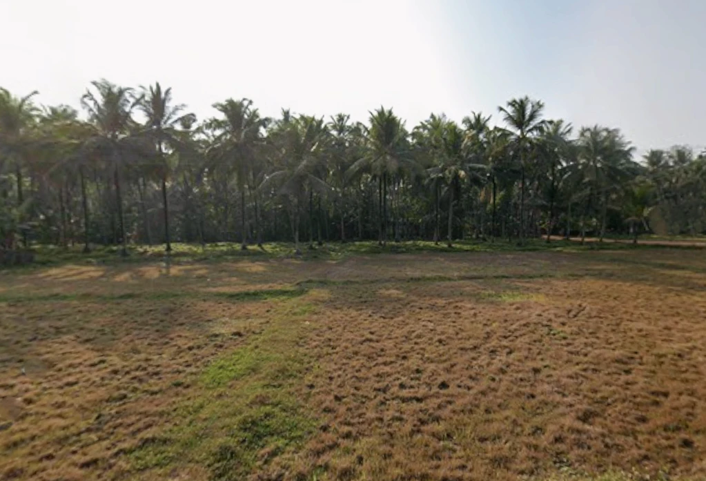 9X97+F2W, Omassery, Kerala 673582, India