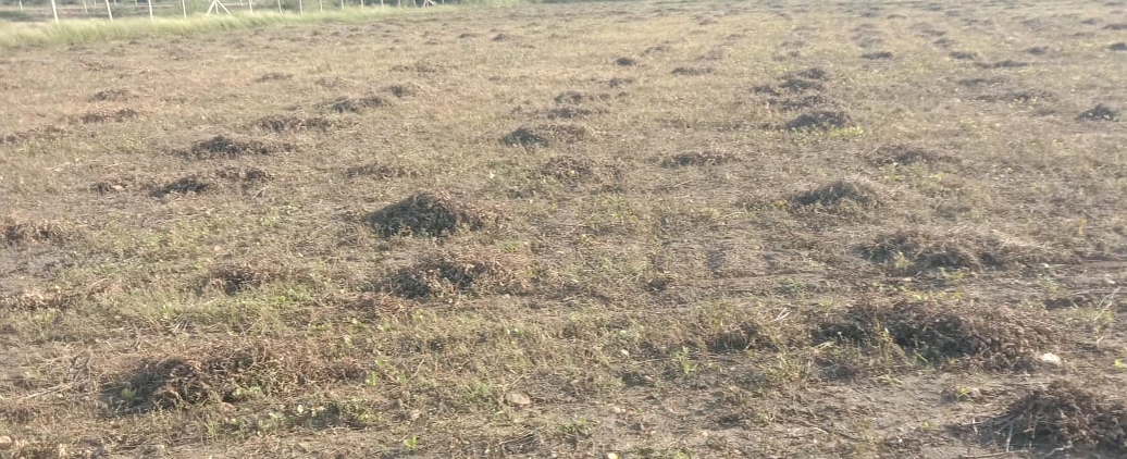 Barnagar, Madhya Pradesh 456771, India