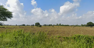 Shikarpur, Uttar Pradesh 203395, India preview 3