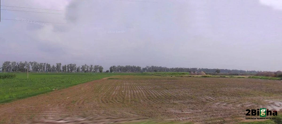 Assandh, Haryana 132039, India