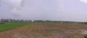Assandh, Haryana 132039, India preview 2