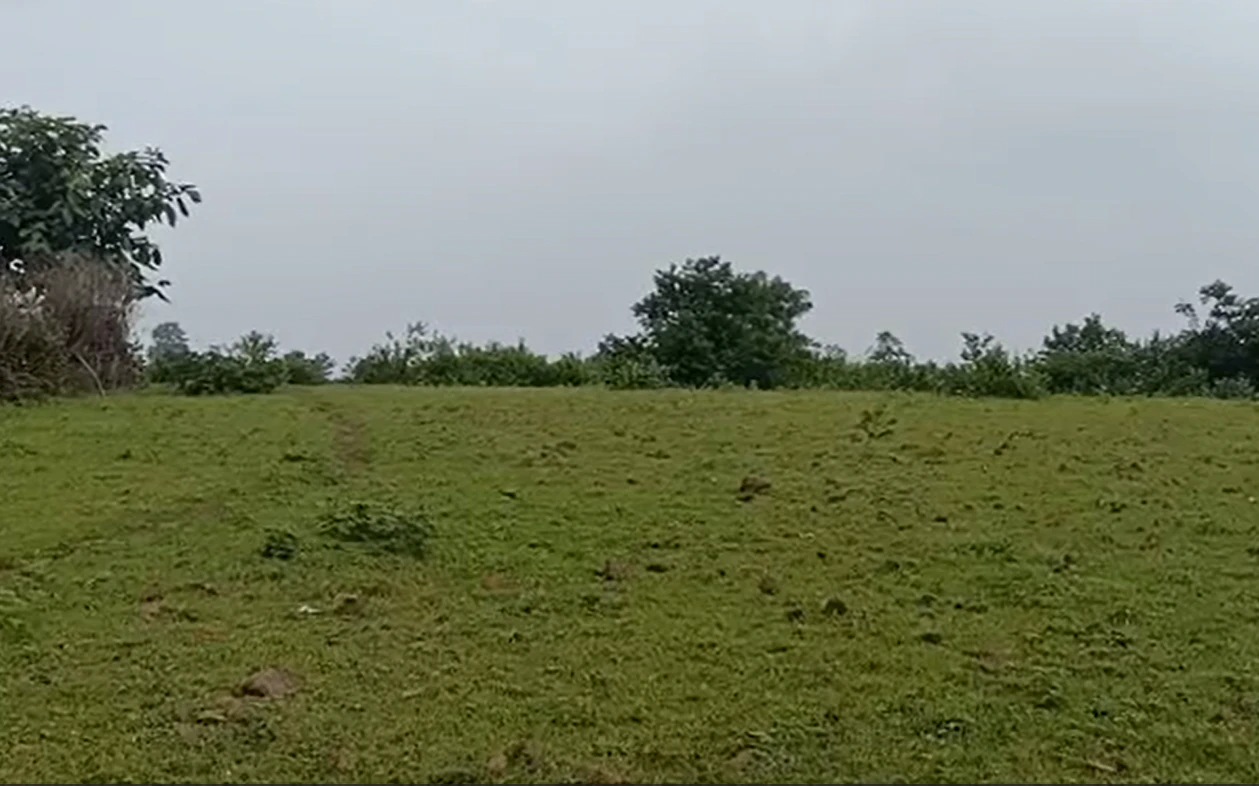 Sinod Rd, Ratlam, Sinod, Madhya Pradesh 457441, India