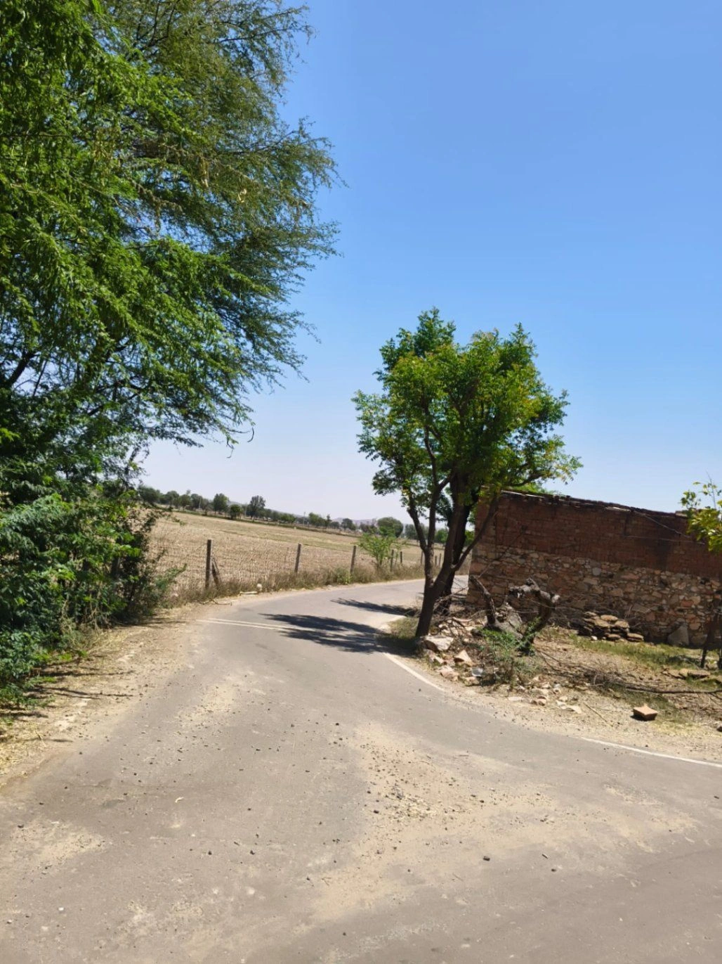 Mahwa, Rajasthan 321608, India