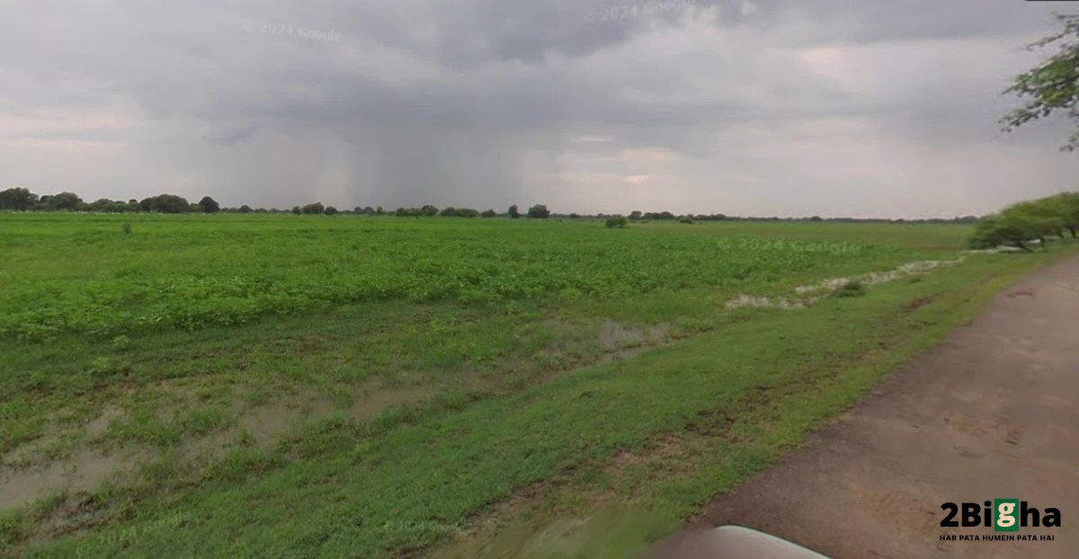 Mehrana, Haryana 124102, India